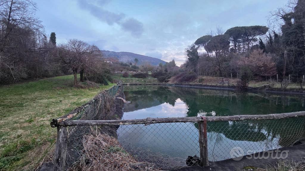 Terreno di 12000 m² a Genazzano - Vista 4