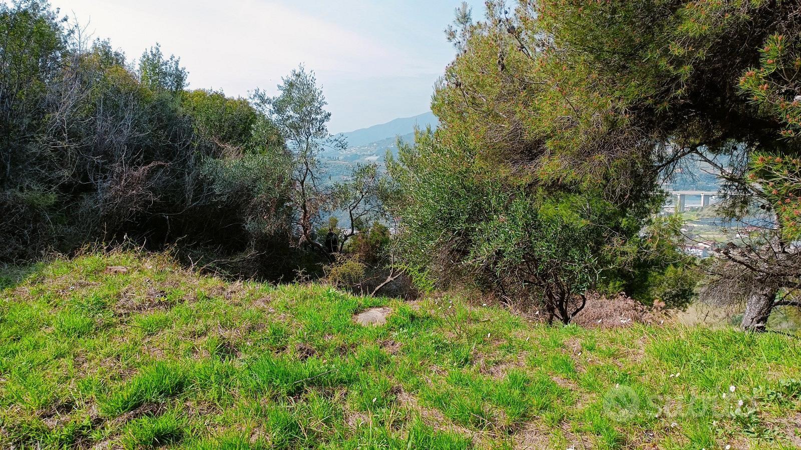 Vendita terreno agricolo non edificabile - Vista 2