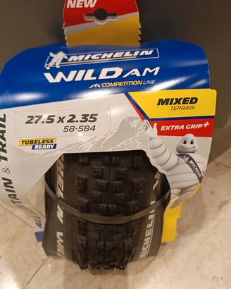 Michelin Wild Am 