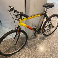 Bicicletta Mountain bike