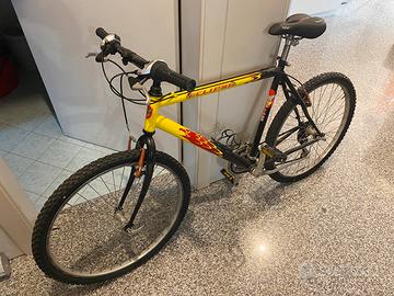 Bicicletta Mountain bike