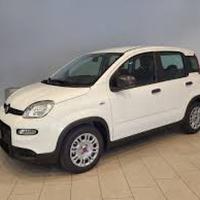 FIAT Panda 1.0 FireFly S&S Hybrid x Neopatenteti