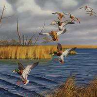  Germani reali ,Quadro ad olio, 80x 100 cm