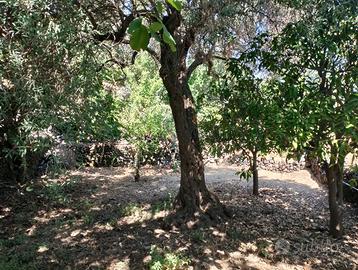 Centro. Rustico ristrutturato con terreno