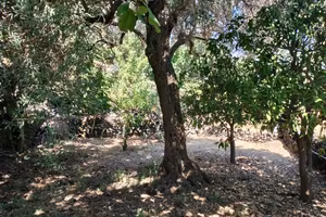Centro. Rustico ristrutturato con terreno