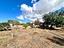 Immagine 13
