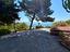 Immagine 27