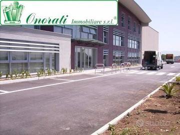 Nuova costruzione capannone mq 8200 Tivoli Terme