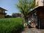 Immagine 19