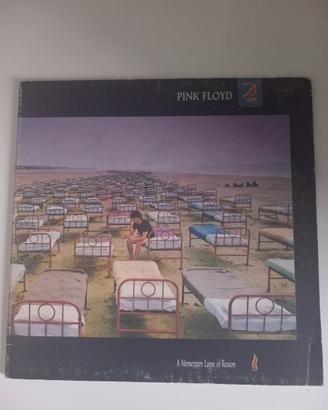 A MOMENTARY LAPSE OF REASON/  P. FLOYD 