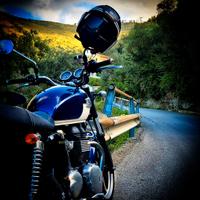 Triumph Bonneville - 2009