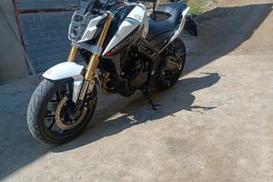 Morbidelli mbp m502n