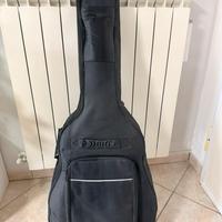 Chitarra acustica elettrificata Eko