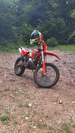 Beta RR 300