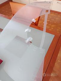 collare elisabettiano 