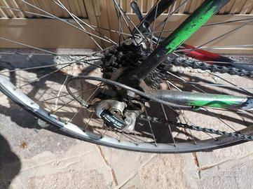 Edoardo Bianchi Collezione 