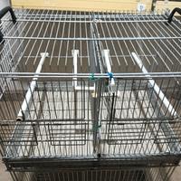 gabbie Borgovit da 45cm 