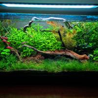 plaffoniera chihiros a601 plus RGB 45w 2400lm