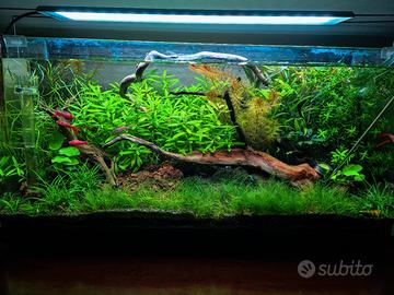 plaffoniera chihiros a601 plus RGB 45w 2400lm