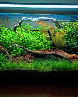 plaffoniera chihiros a601 plus RGB 45w 2400lm