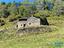 Immagine 15
