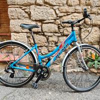 Bicicletta Olmo 28"
