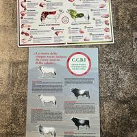 Cartelloni tagli di carne e razze vitelli