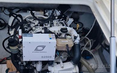 Motore diesel Hyundai Seasall S250S
