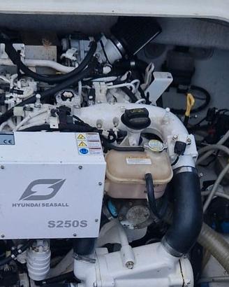 Motore diesel Hyundai Seasall S250S