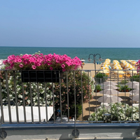 Jesolo vista mare casa green piscina spiaggia cani