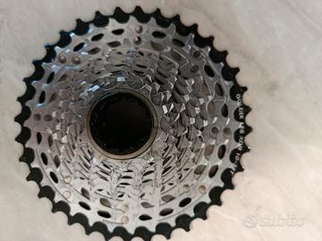 pacco pignoni xdr 10/36 12 v