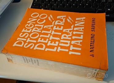 Disegno storico della letteratura italiana SAPEGNO