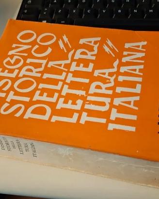 Disegno storico della letteratura italiana SAPEGNO