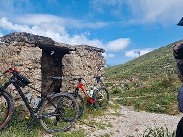 bici mtb 