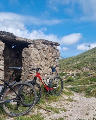 bici mtb 