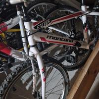 bici bambino 20 pollici 