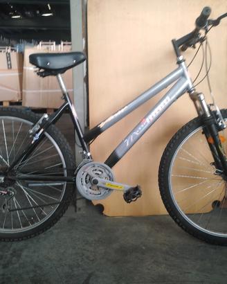 bicicletta 