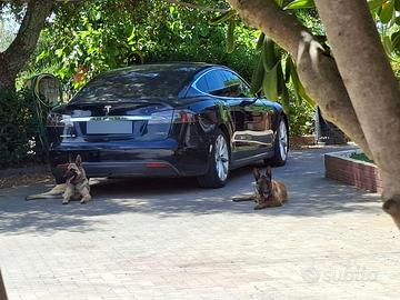 Tesla model S LEGGI BENE