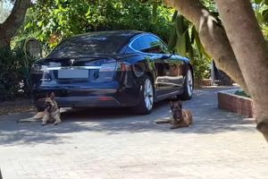 Tesla model S LEGGI BENE