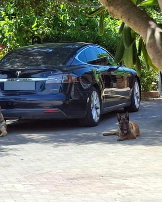 Tesla model S LEGGI BENE