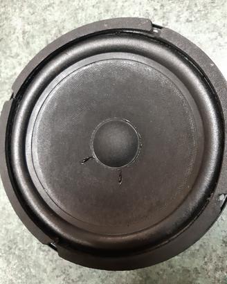 WOOFER CIARE