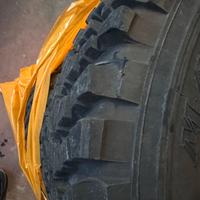 Gomme Malatesta 195 R 15