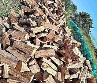 legna da ardere secca 