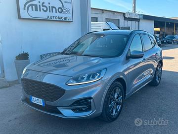 Ford Kuga 1.5 EcoBlue 120 CV aut. 2WD ST-Line