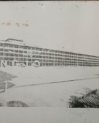 stampe disegnate