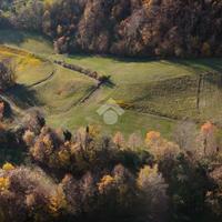 TER. AGRICOLO A CHIAMPO