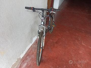 Bicicletta da uomo