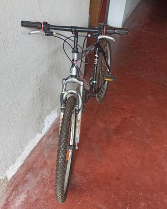 Bicicletta da uomo