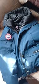 giubbotto bomber Canada goose 