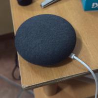 Nest mini google